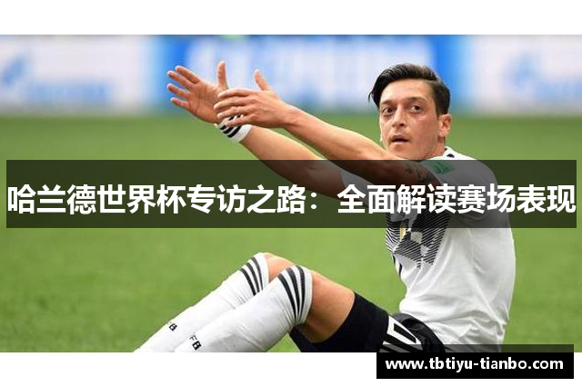哈兰德世界杯专访之路：全面解读赛场表现