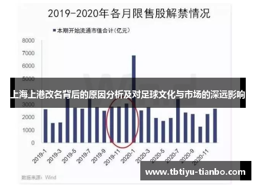 上海上港改名背后的原因分析及对足球文化与市场的深远影响